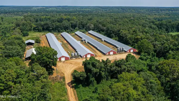 7749 Hickory Little Rock Road, Decatur, MS 39327