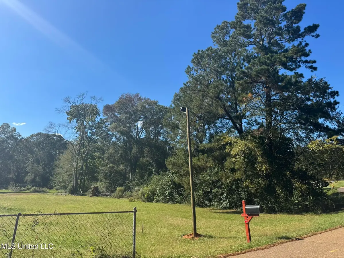 308 Gulledge Drive, Tylertown, MS 39667 - Image #1