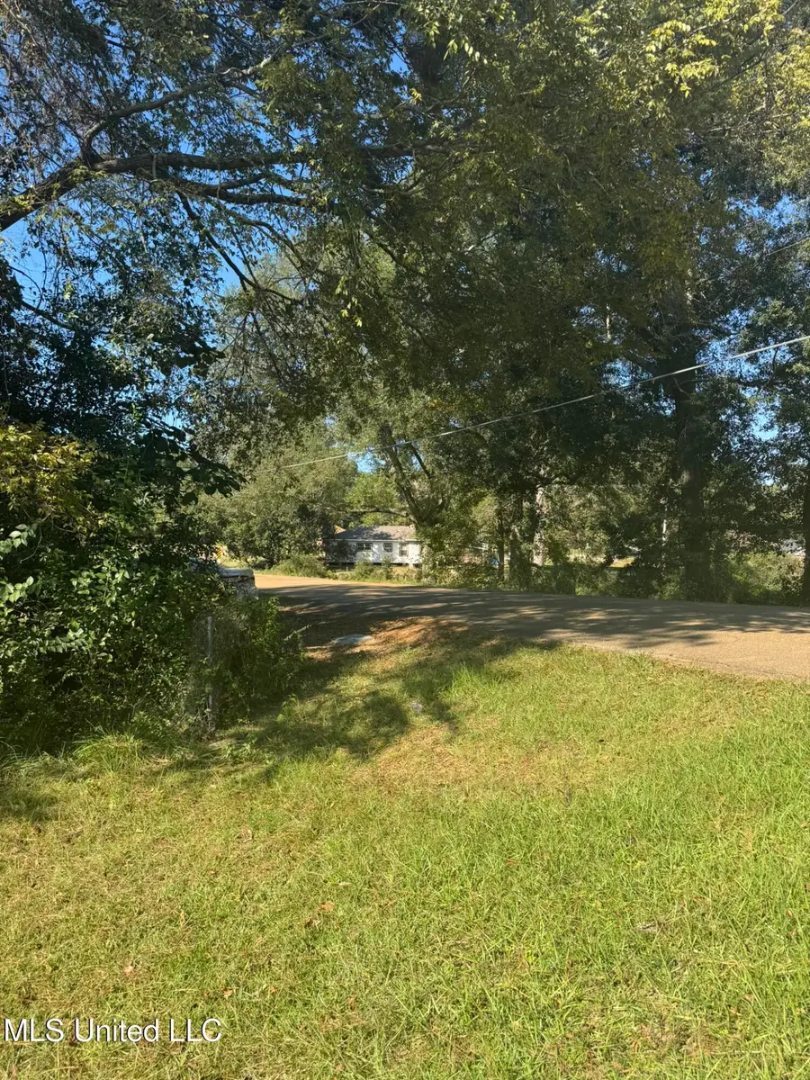 308 Gulledge Drive, Tylertown, MS 39667 - Image #3