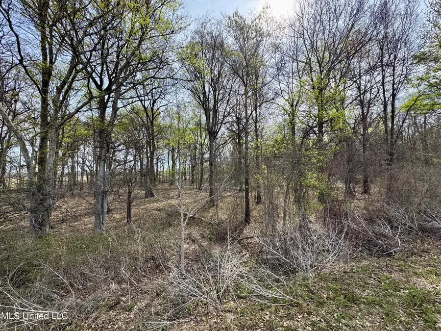 Turner Road, Ruleville, MS 38771 - Image #2