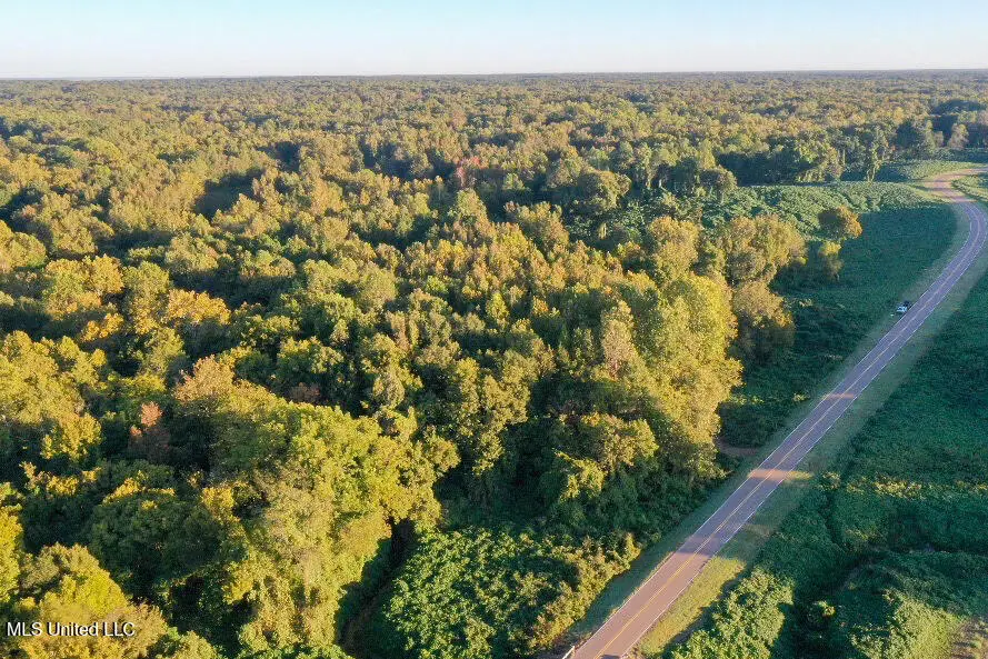E Williams Road, Hernando, MS 38632 - Image #1