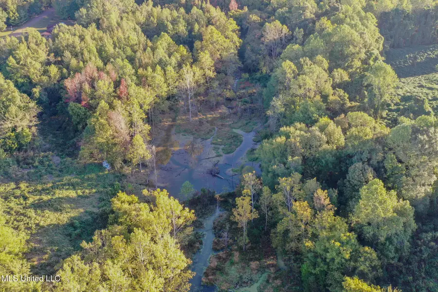 E Williams Road, Hernando, MS 38632 - Image #3