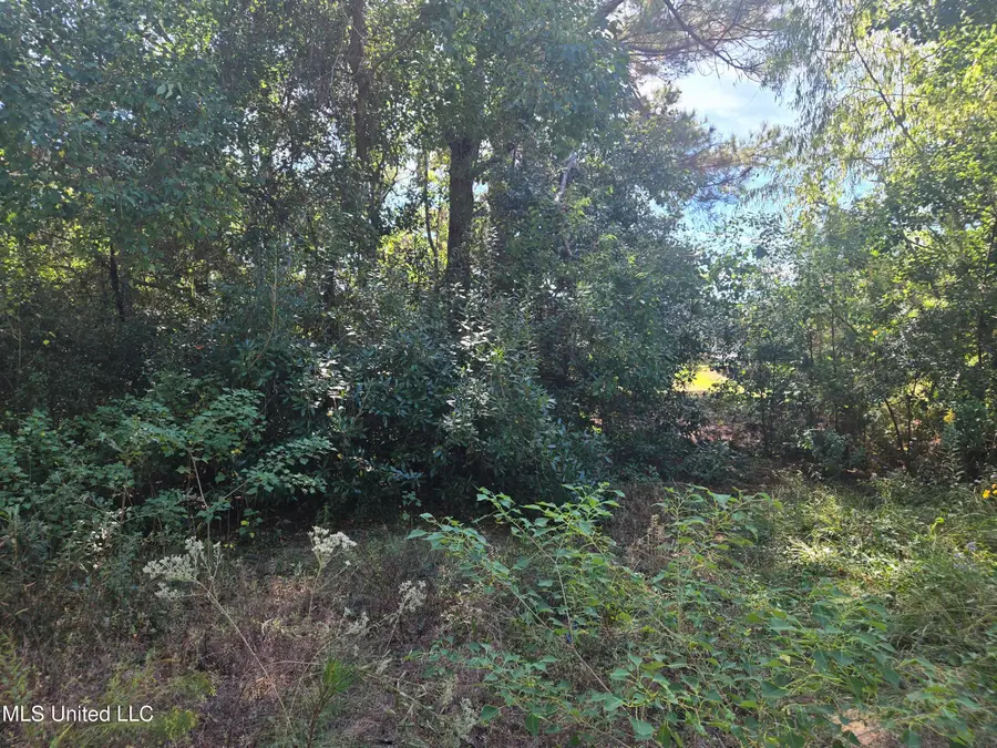 1033 Live Oak Drive, Biloxi, MS 39532 - Image #2