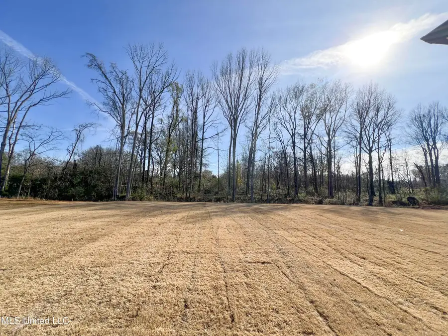 2444 Scott Meadows Lane, Hernando, MS 38632 - Image #3