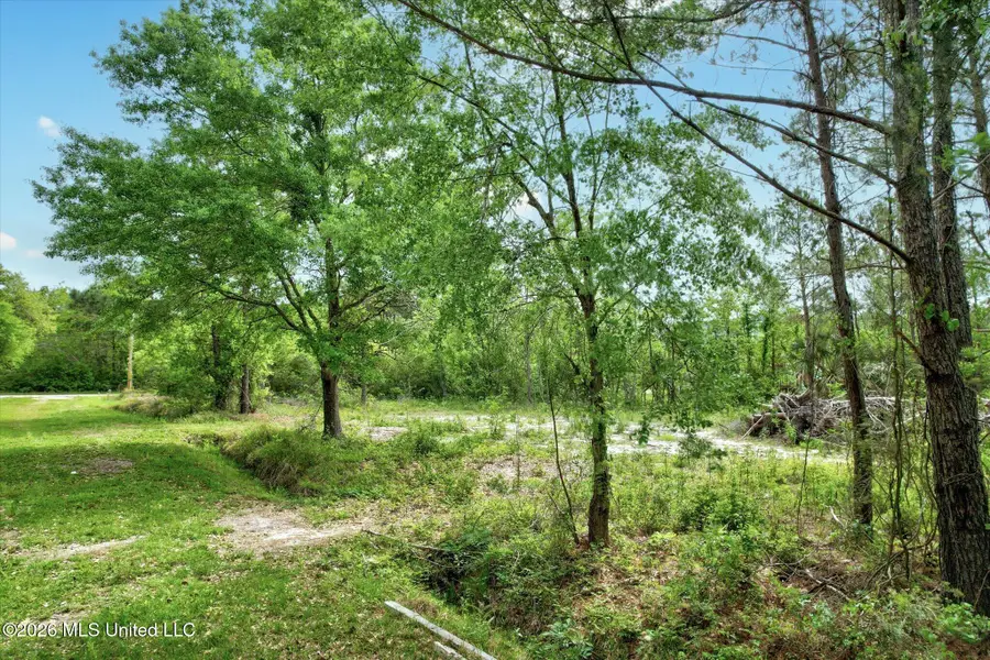 7015 Third Street, Bay Saint Louis, MS 39520 - #2
