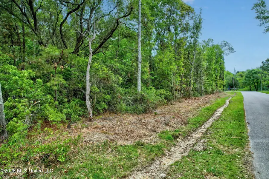 Duvernay Road, Waveland, MS 39576 - #2