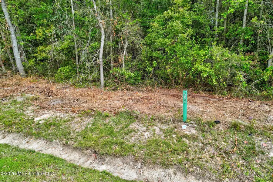 Duvernay Road, Waveland, MS 39576 - #3