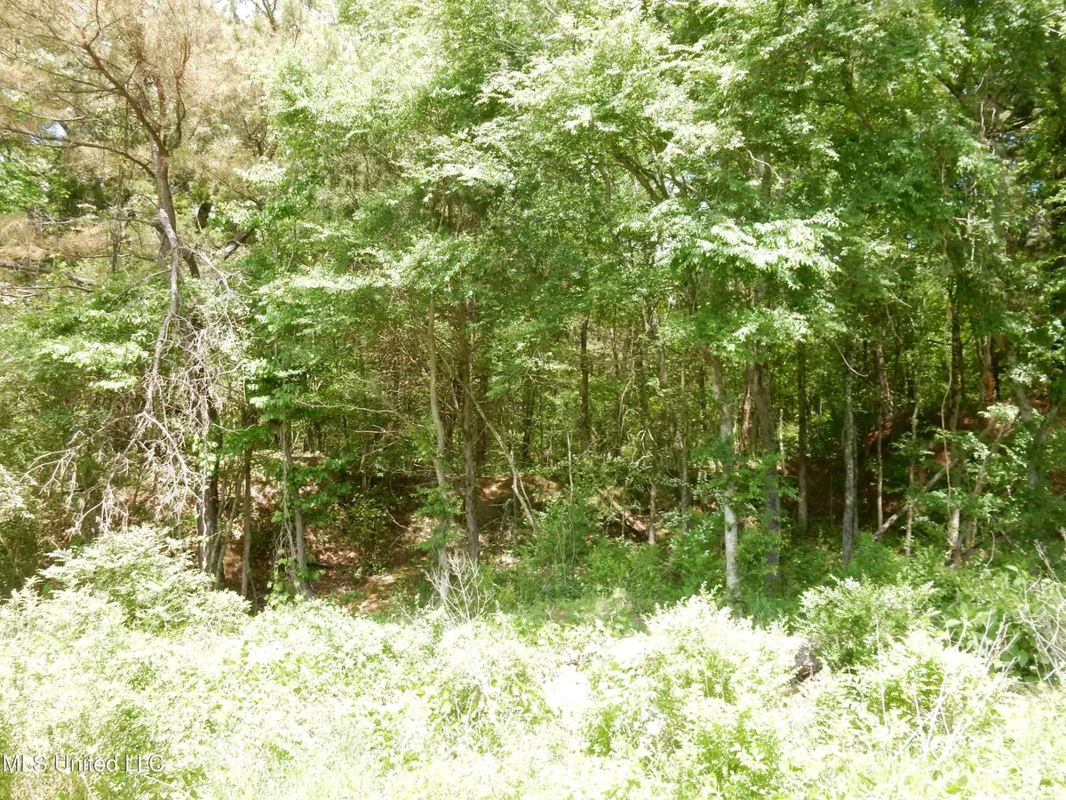 3 Looxahoma Tyro Road, Senatobia, MS 38668 - Image #1