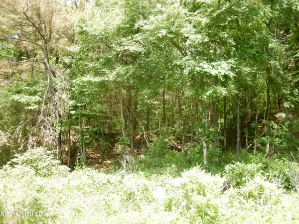 3 Looxahoma Tyro Road, Senatobia, MS 38668