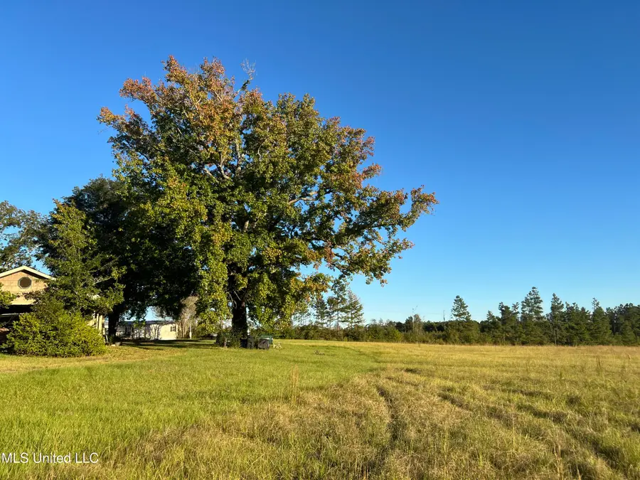 2066 S Hwy 569 Highway, Liberty, MS 39645 - Image #3