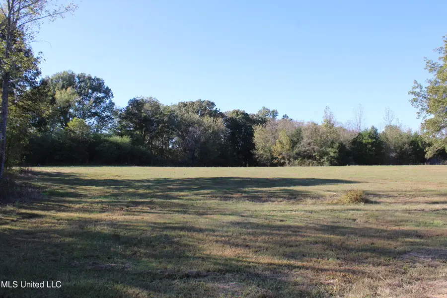 90 Bull Horn Road, Como, MS 38619 - Image #3