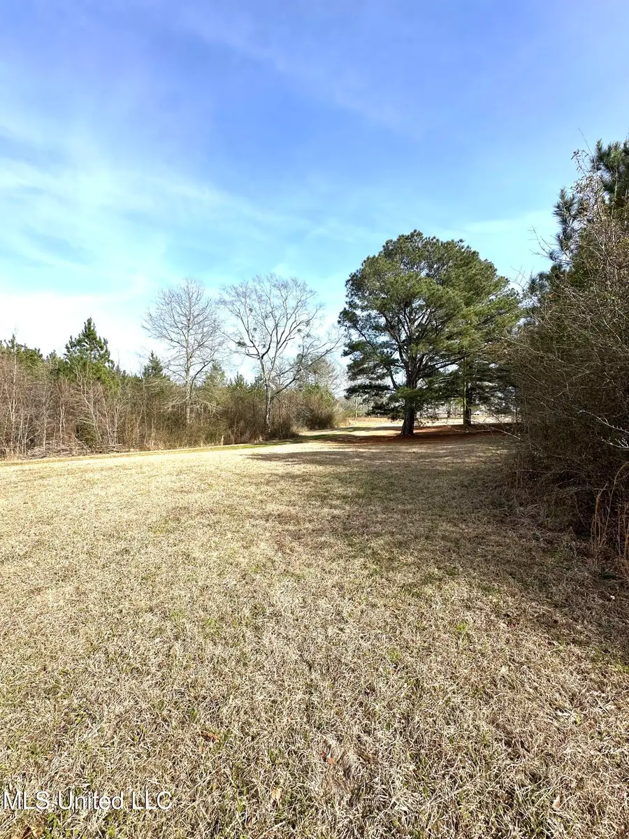 3530 Smith County Road 110, Magee, MS 39111 - Image #2