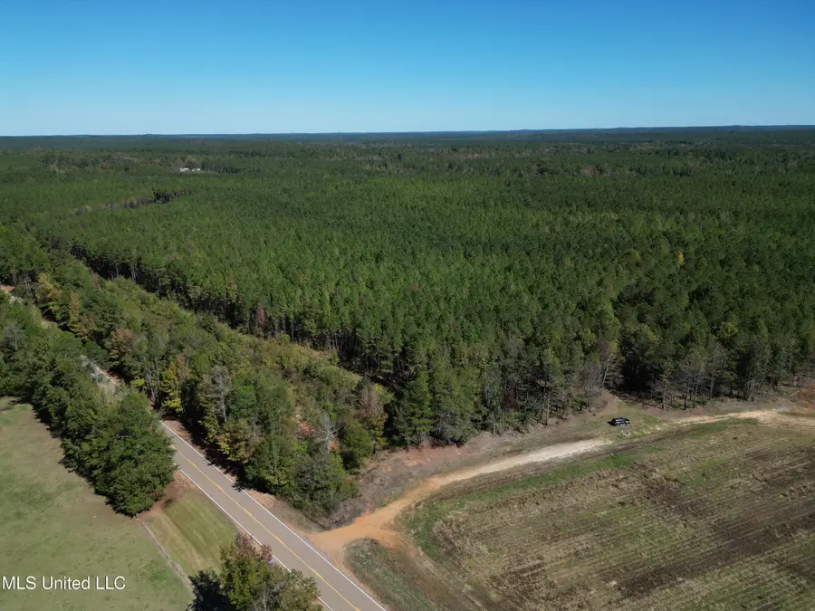 Minerva Road, Kilmichael, MS 39747 - Image #3