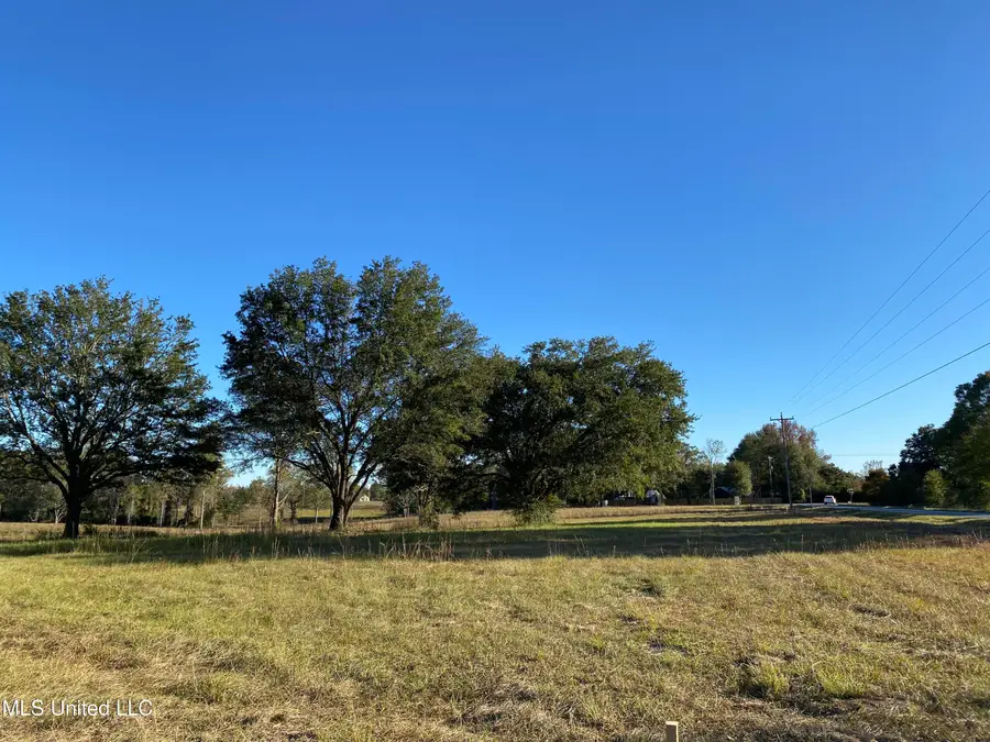 Carey Byrd Road, Carriere, MS 39426 - Image #2