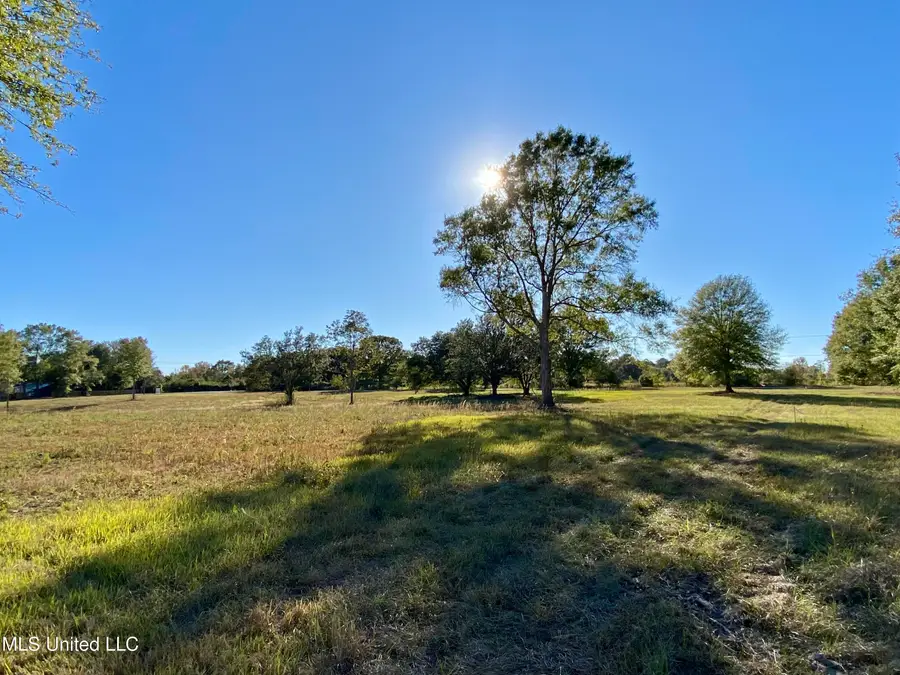 Carey Byrd Road, Carriere, MS 39426 - Image #3