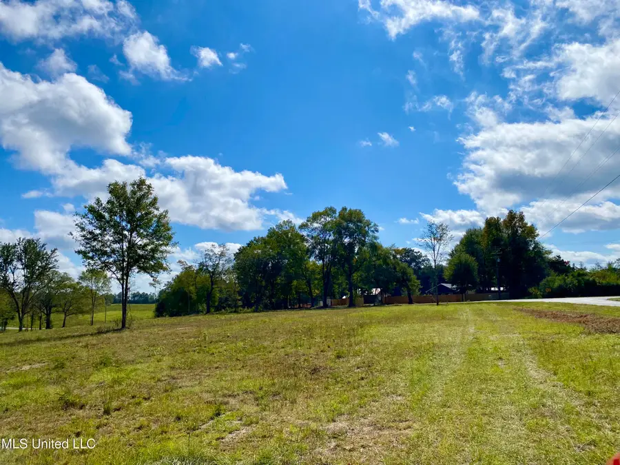 Carey Byrd Road, Carriere, MS 39426 - Image #2