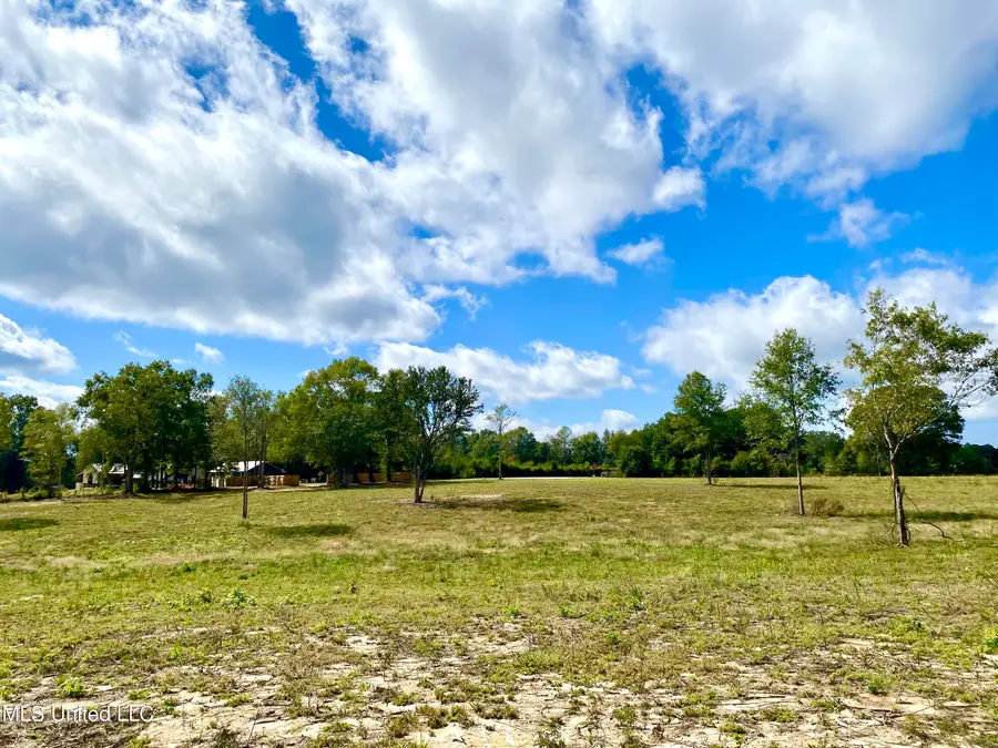 Carey Byrd Road, Carriere, MS 39426 - Image #3