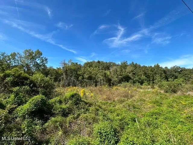 Lot 3 Hope Lane, Pass Christian, MS 39571 - Image #1