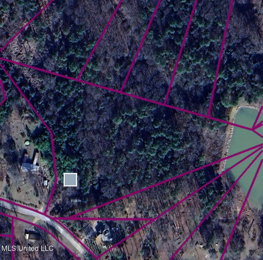 778 Rebecca Drive, Byhalia, MS 38611 - Image #3