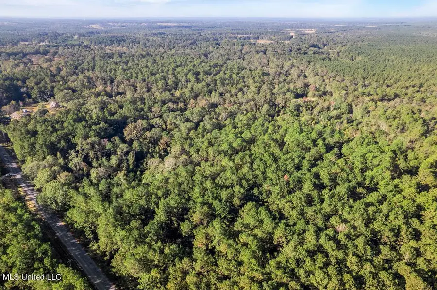 Mill Creek Road, Poplarville, MS 39470 - Image #2