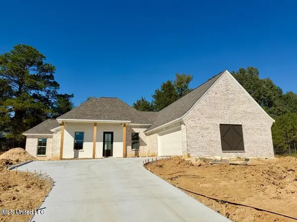 315 Jasmine Cove Lane, Brandon, MS 39042