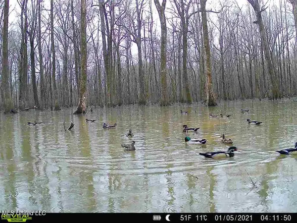 Gun Baoyu Road, Belzoni, MS 39038