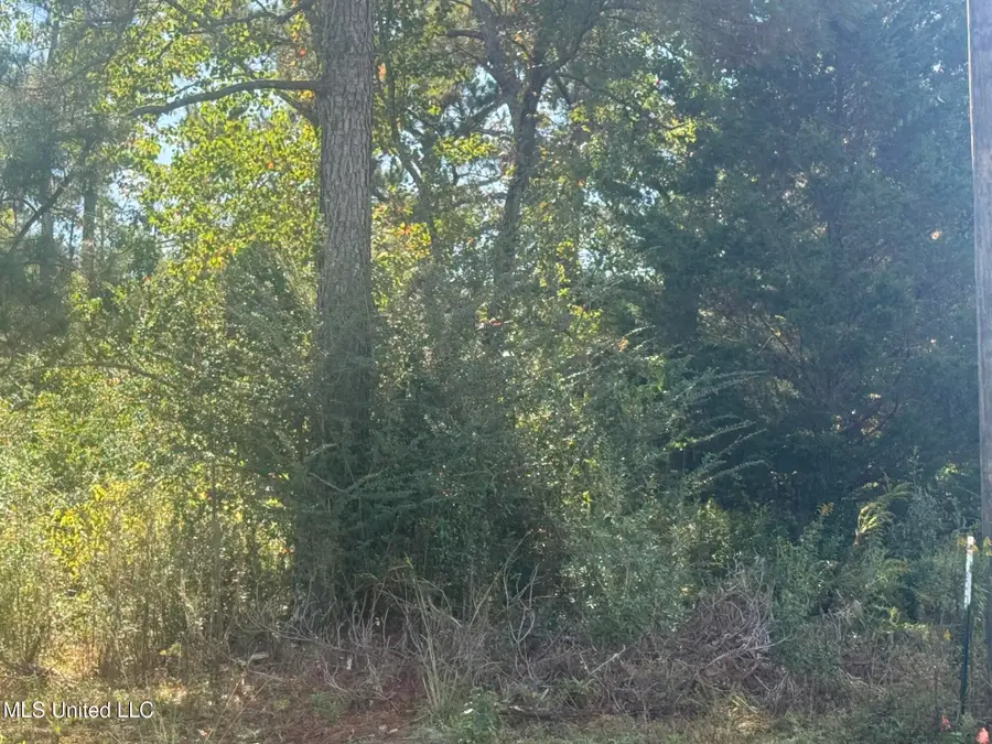 No E Integrity Road, McComb, MS 39648 - Image #3