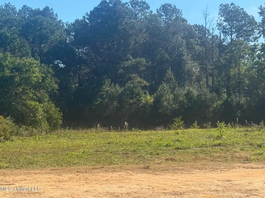 Integrity Road, McComb, MS 39648 - Image #2