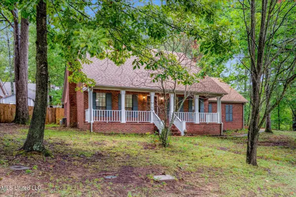 4040 N Windermere Road, Nesbit, MS 38651