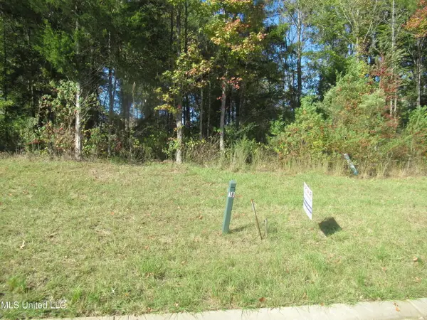 Brents Crossing, Clinton, MS 39056