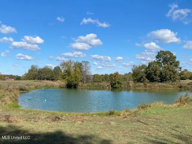 6183 Yellowdog Road, Senatobia, MS 38668 - Image #2