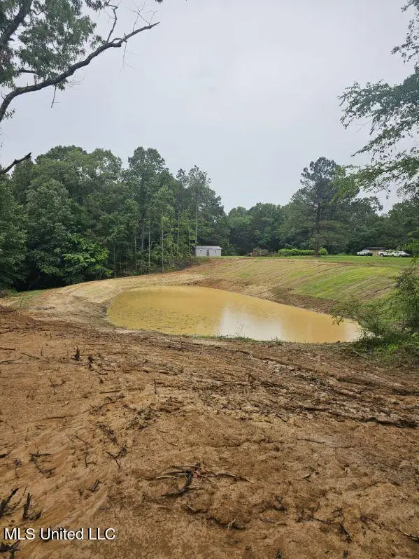 10756 Honey Ridge Drive, Hernando, MS 38632