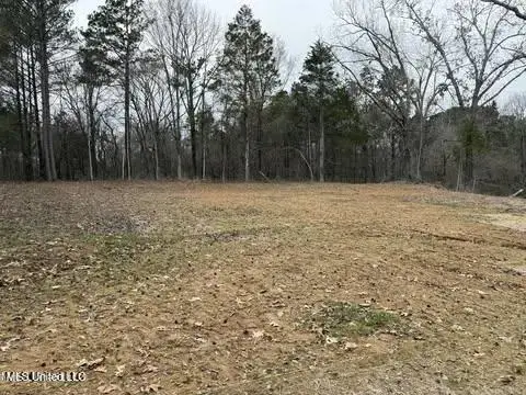 10756 Honey Ridge Drive, Hernando, MS 38632 - Image #2