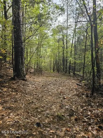 10756 Honey Ridge Drive, Hernando, MS 38632 - Image #3