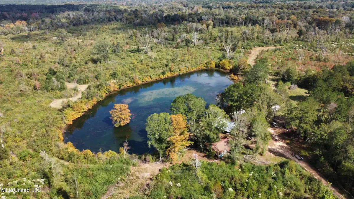 00 County Road 472, Pinola, MS 39149 - Image #1