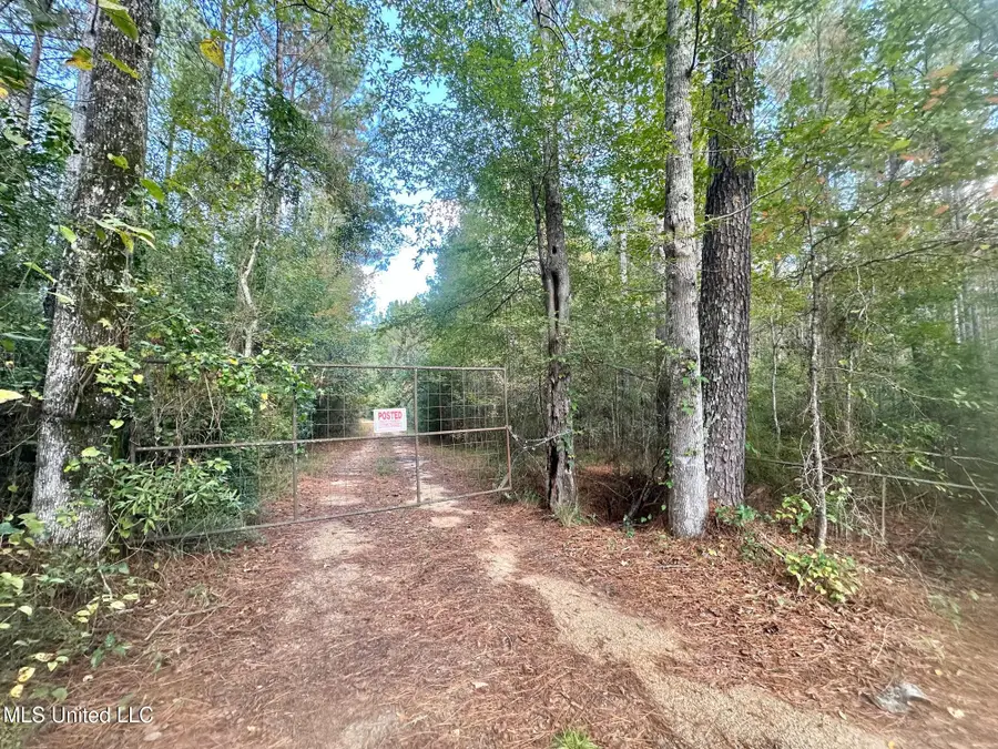 00 County Road 472, Pinola, MS 39149 - Image #2