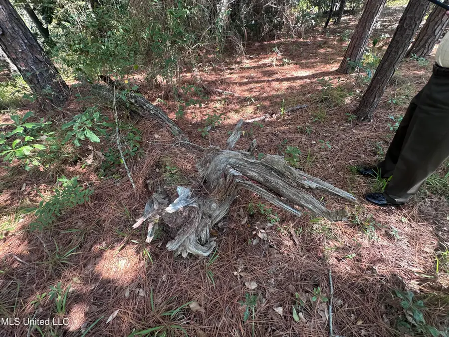 00 Indiantown Road, Escatawpa, MS 39552 - Image #3