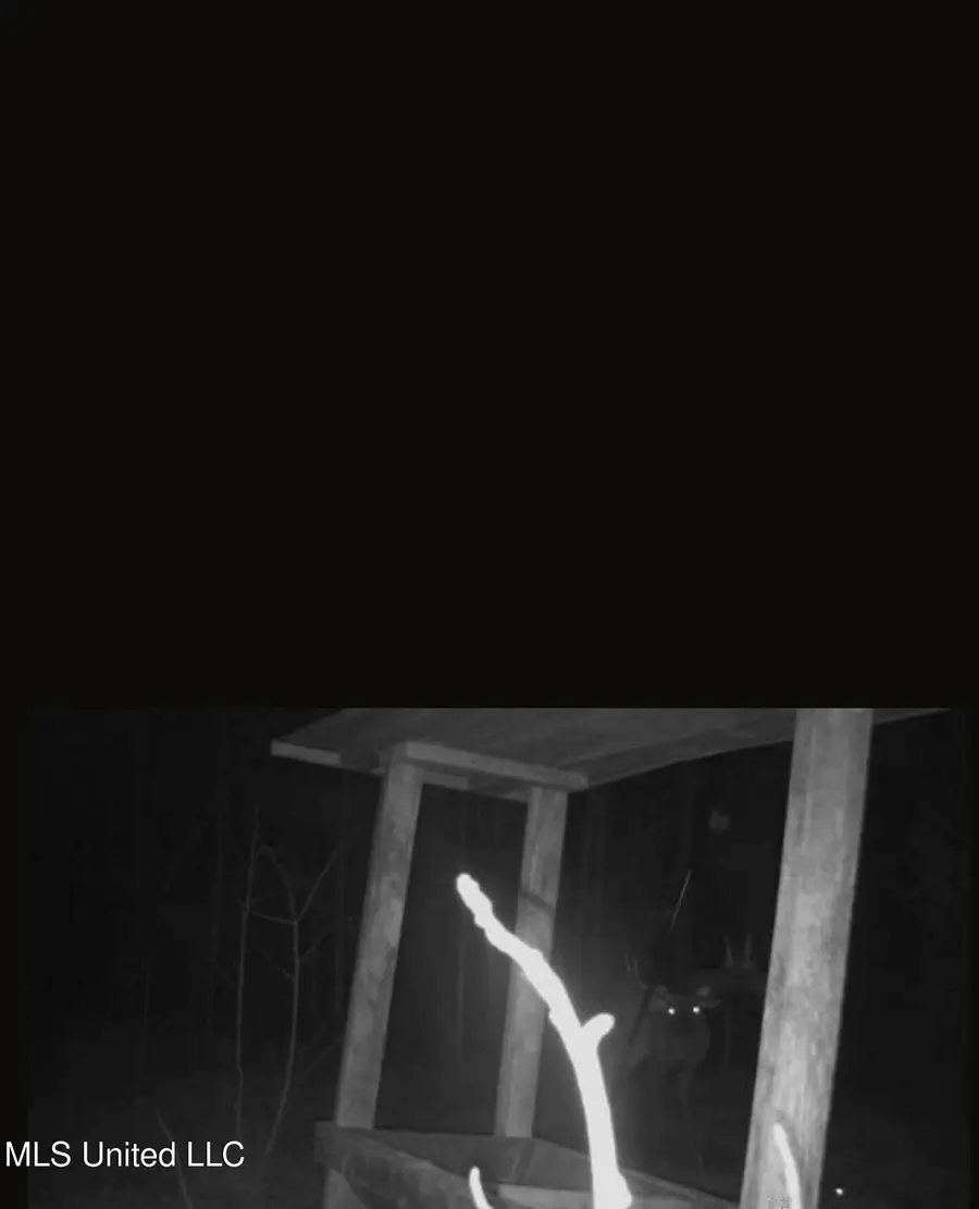 0 Green Door Road, Eupora, MS 39744 - Image #3