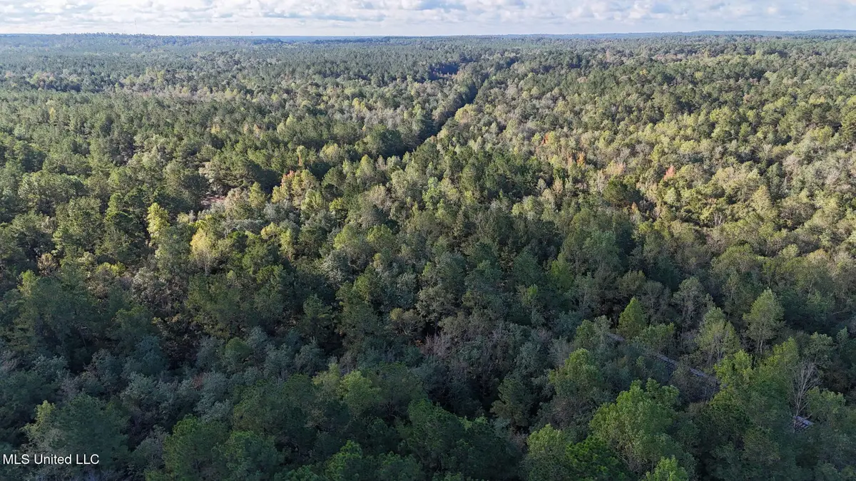 Lee Avenue, Hattiesburg, MS 39401 - Image #1