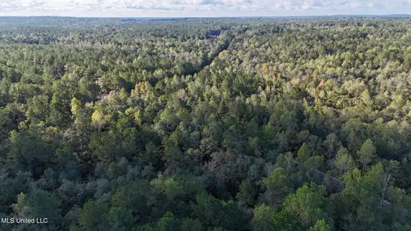 Lee Avenue, Hattiesburg, MS 39401