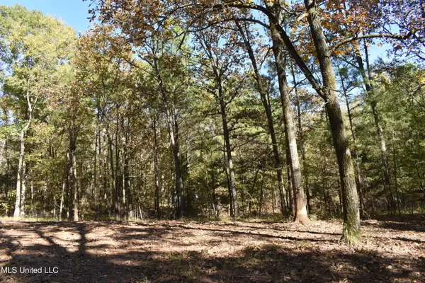 6400 Tate Marshall Road, Coldwater, MS 38618