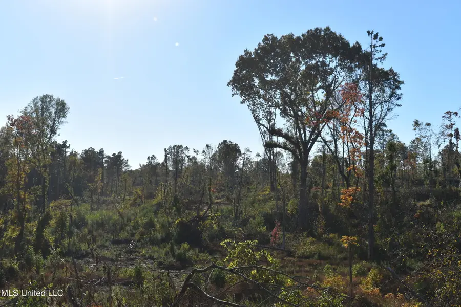 5 Marianna Road, Holly Springs, MS 38635 - Image #3