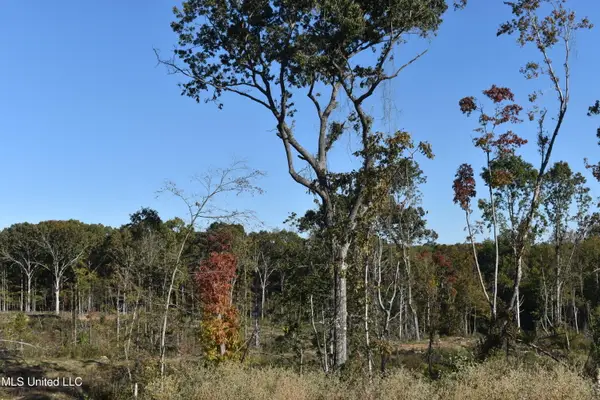 7 Marianna Road, Holly Springs, MS 38635