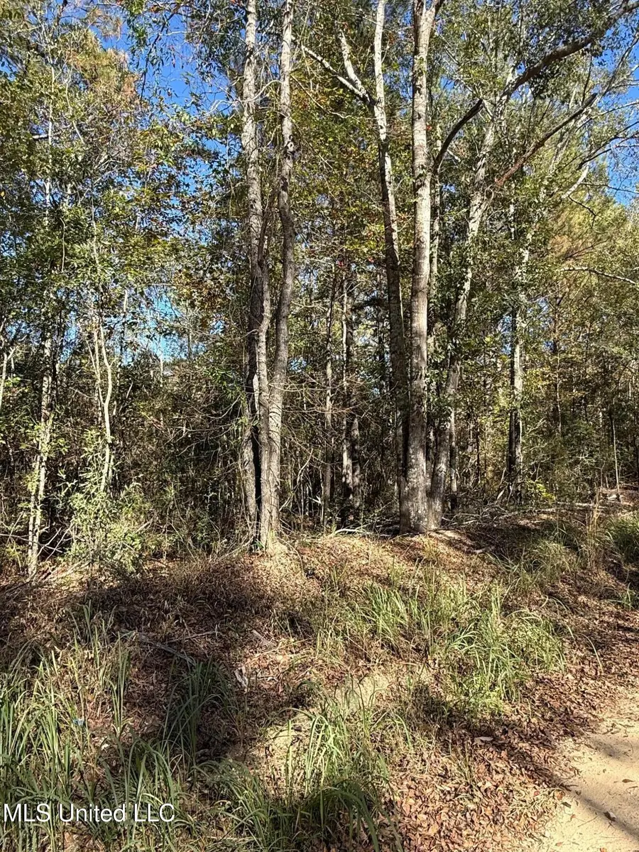 6.25ac Knob Town Rd, State Line, MS 39362 - Image #2