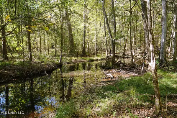 0 SW Jackson Liberty Drive, Smithdale, MS 39664