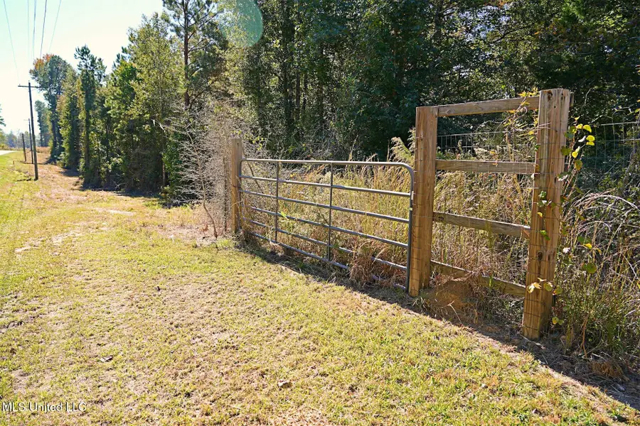 0 SW Jackson Liberty Drive, Smithdale, MS 39664 - Image #2