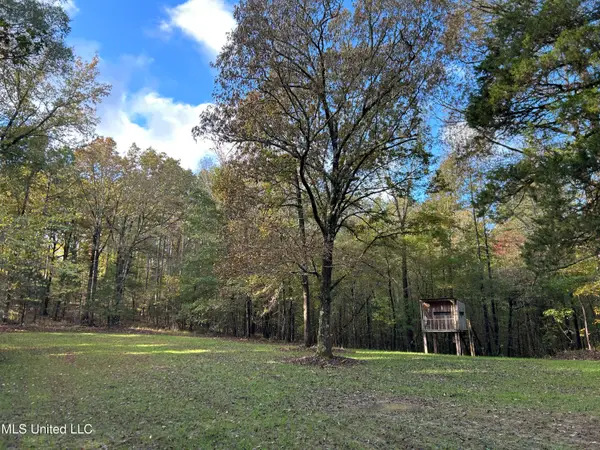 Lafayette Springs Road, Thaxton, MS 38871