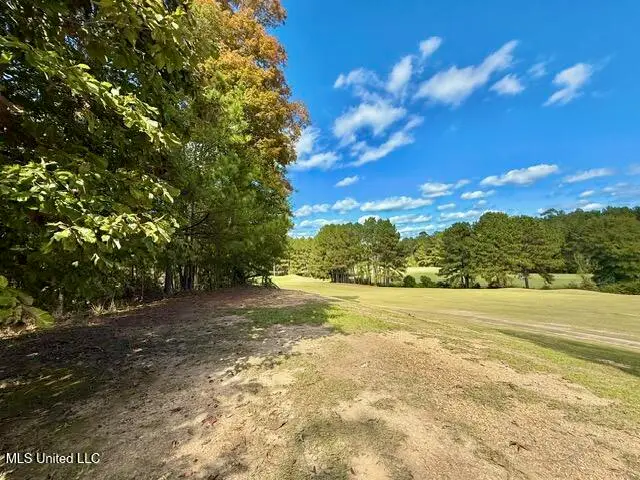 00 Milltowne Drive, Wesson, MS 39191 - Image #1