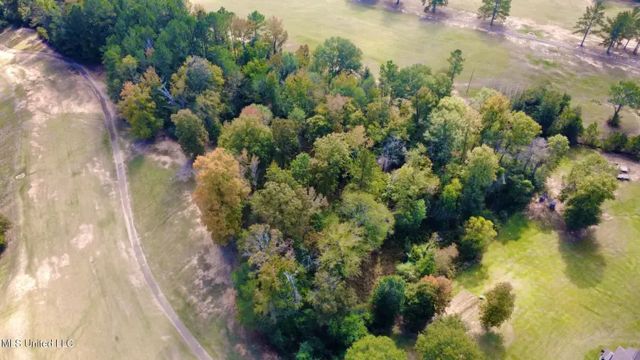 00 Milltowne Drive, Wesson, MS 39191 - Image #3