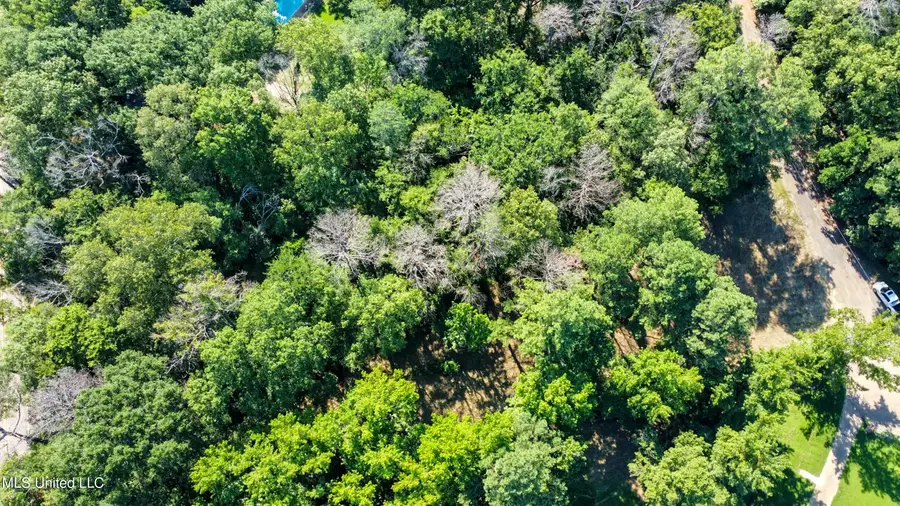 0 Lakeridge Cove, Clinton, MS 39056 - Image #3